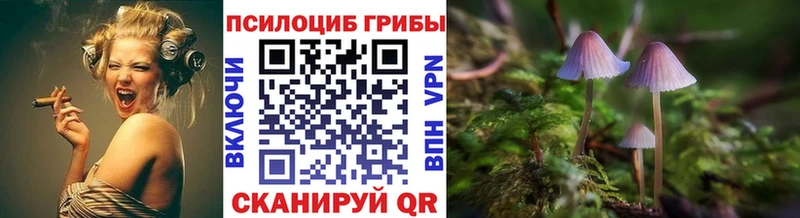 kraken как войти  где продают наркотики  Шелехов  Псилоцибиновые грибы Magic Shrooms 